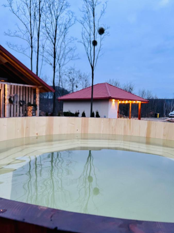 Agropensiunea Floare De Tei Carpinis  Exterior foto
